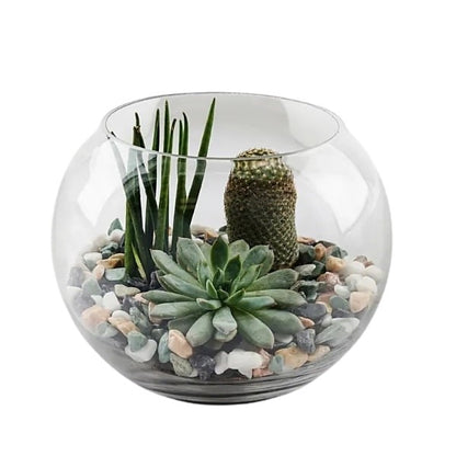 🌱 Terrarium (تيراريوم) | Fast UAE Delivery – Miniature Green Worlds for Homes & Offices 🌱