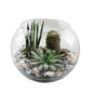 🌱 Terrarium (تيراريوم) | Fast UAE Delivery – Miniature Green Worlds for Homes & Offices 🌱