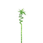 🌿 Lucky Bamboo Stick (عصا الخيزران المحظوظة) | Fast UAE Delivery – Brings Prosperity & Elegance to Your Space