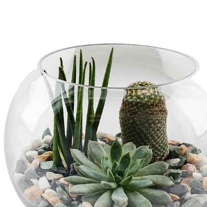 🌱 Terrarium (تيراريوم) | Fast UAE Delivery – Miniature Green Worlds for Homes & Offices 🌱
